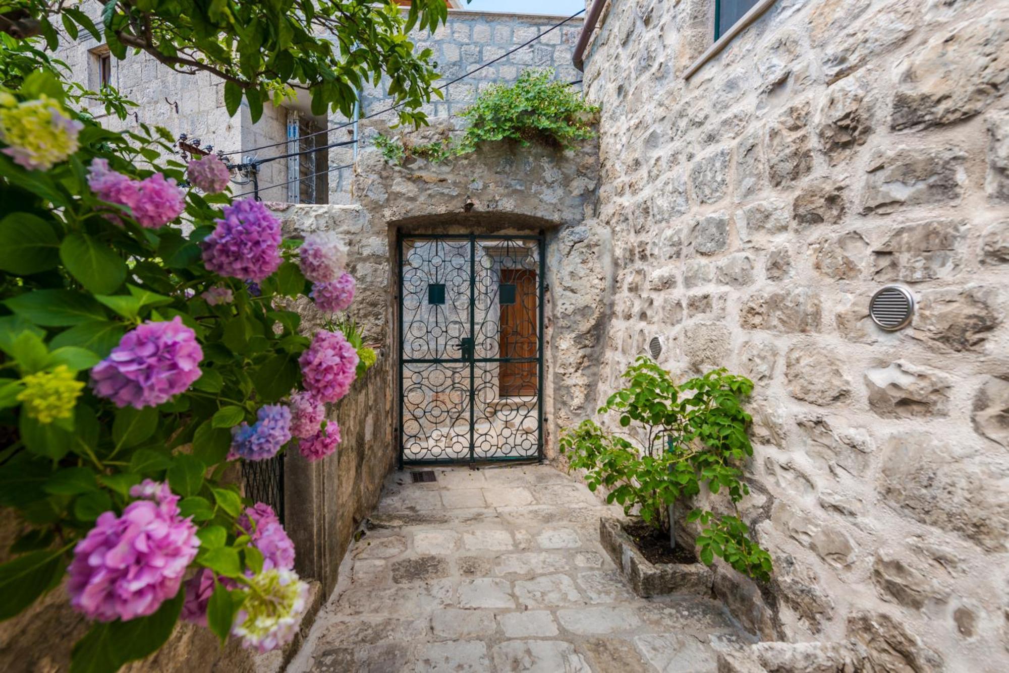 Classique Cavtat